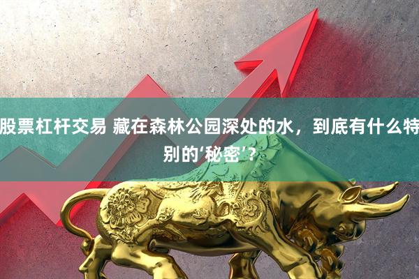 股票杠杆交易 藏在森林公园深处的水，到底有什么特别的‘秘密’？