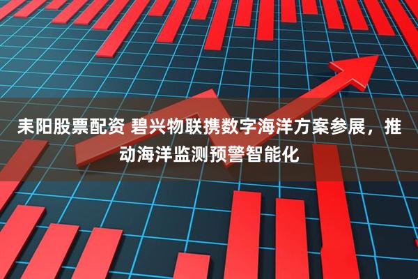 耒阳股票配资 碧兴物联携数字海洋方案参展，推动海洋监测预警智能化