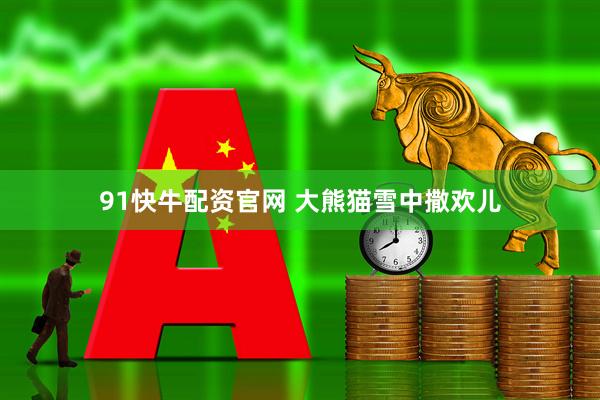 91快牛配资官网 大熊猫雪中撒欢儿