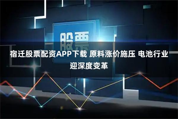 宿迁股票配资APP下载 原料涨价施压 电池行业迎深度变革