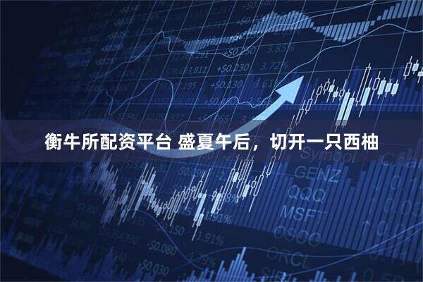 衡牛所配资平台 盛夏午后，切开一只西柚