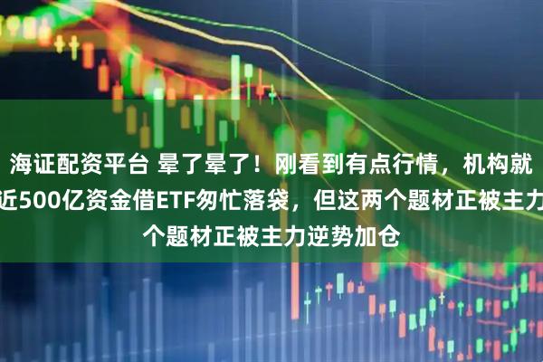 海证配资平台 晕了晕了！刚看到有点行情，机构就玩高抛，近500亿资金借ETF匆忙落袋，但这两个题材正被主力逆势加仓